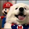 碎碎念：