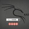 Kali与编程