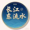 长江东流水