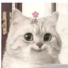 meme小淘气
