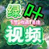 绿叶视频