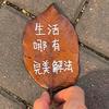 苇苇