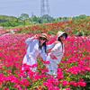 沫沫❤️爱跳舞💃💃