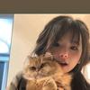 雁过留影
