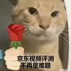 JD___达人开箱测评