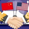 国际观察