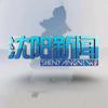 沈阳新闻