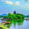 羽化碟