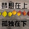 梦想在上