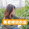 黄老师说农业