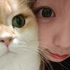 黯黯