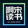 啊宋读书