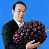 双莱家庭农场官方号