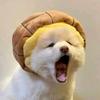 娱乐小唠叨