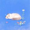 猫花子了