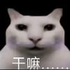 霁之.