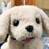 屿风津弥Y