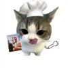 佑悠Zzz