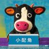 靠谱的师兄