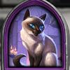 CrazyCat(200斤重的煮波)