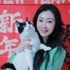 海英和猫