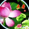 勿忘我☀.燕