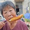 潘大娘的农村生活