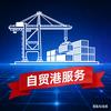 自贸港企业服务博宇