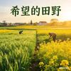 五一希望的田野