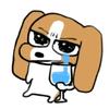 永定四十年