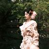 筱婉星落