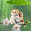 花样水兵舞