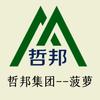 哲邦启辰-创业服务