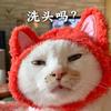 洗小兔