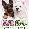 妞兒与奶球兒