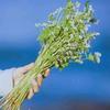 天气猫