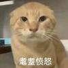牢明不牢