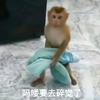 吃饱就想睡
