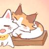 一只在三江平原流浪的小野猫🐾🐾