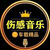 悦儿.伤感音乐