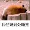 睡神（欧美嘻哈娱乐生物钟使用中）