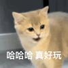 来点儿薯条
