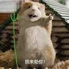 火鸡面（主机游戏）