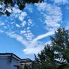 平锅