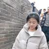 梦宝