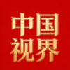 中国视界