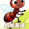 蚂蚁英语