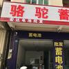 骆驼电池