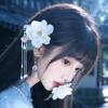 我的花园世界-阿紫
