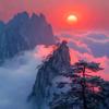 沉疴尽散